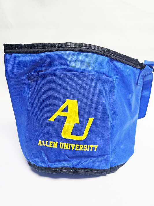 Insulated Lunch Bag